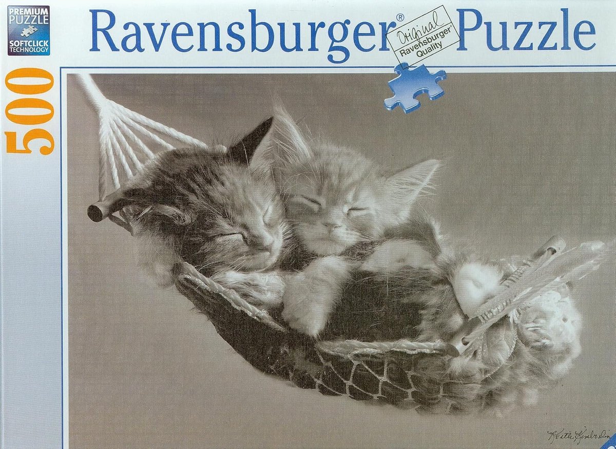 Puzzel 500 Stukken - Uitdagend en Kleurrijk Legpuzzel voor Volwassenen en Kinderen