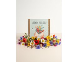 Blossombs Bloembommetjes Giftbox Medium - 9 Zaadbommetjes - Bloemen voor jou - Bos Bloemen Cadeau