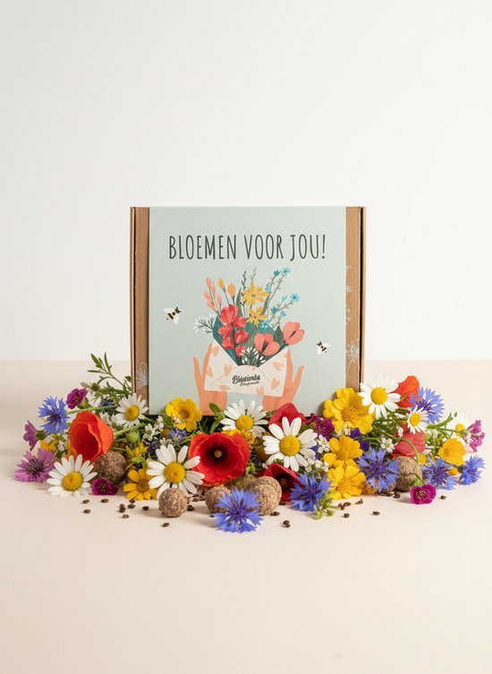 Blossombs Bloembommetjes Giftbox Medium - 9 Zaadbommetjes - Bloemen voor jou - Bos...