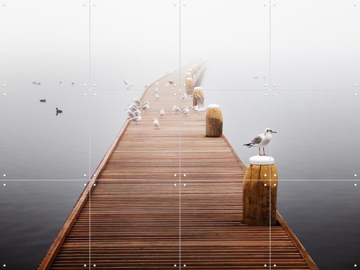 IXXI Silencell Interlude, Claire Droppert - 80 x 60 cm - Gratis ophangtool - Grote wanddecoratie en posters - Minimalisme, Naturalisme, Fotografie