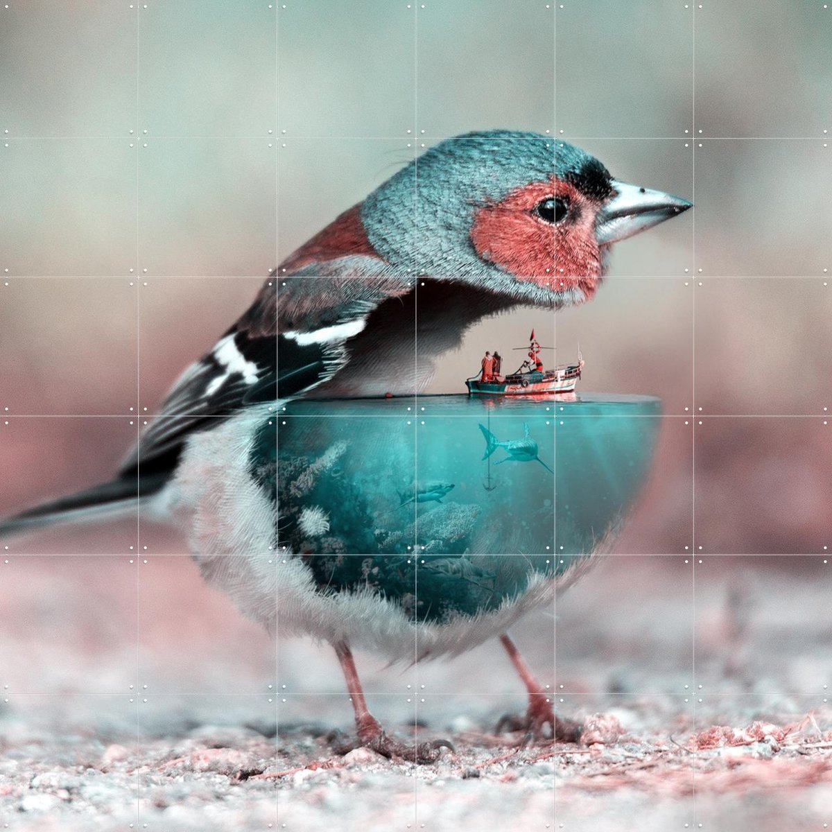IXXI Aqua Birdy, Julien Tabet - 120 x 120 cm - Gratis ophangtool - Grote wanddecoratie en posters - Fotografie, Natuur, Vogels