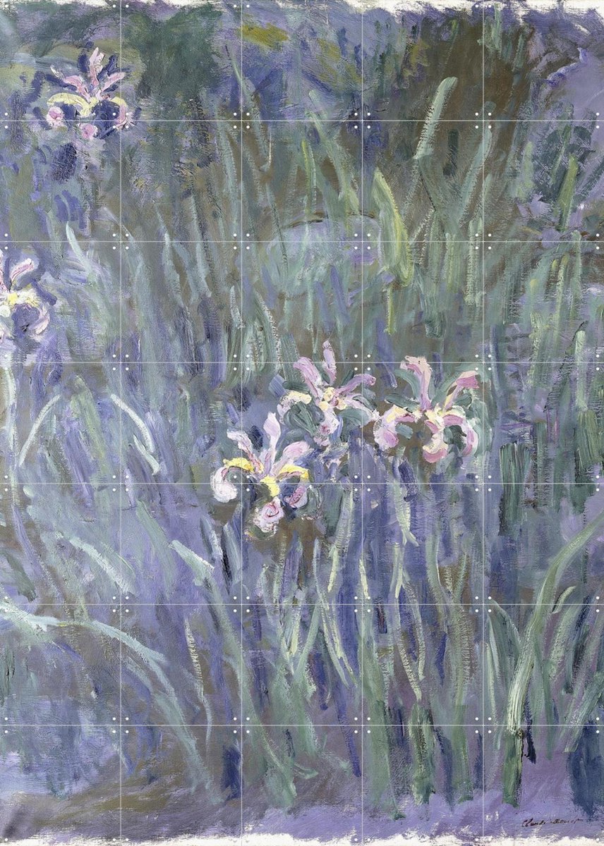 IXXI Iris, Claude Monet & Bridgeman Images - 100 x 140 cm - Gratis ophangtool - Grote wanddecoratie en posters - Impressionisme, Postimpressionisme