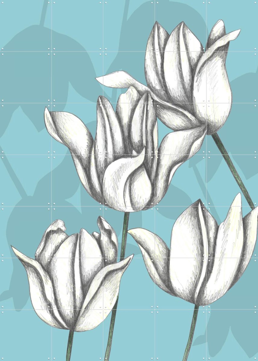 IXXI White Tulips, Cecilia Battaini - 100 x 140 cm - Gratis ophangtool - Grote wanddecoratie en posters - Line art, Minimalisme, Tekeningen