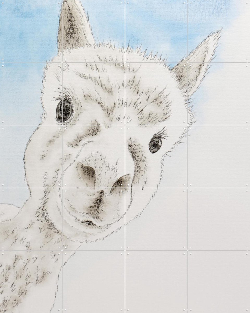 IXXI Curious Alpaca, Natalie Bruns - 80 x 100 cm - Gratis ophangtool - Grote wanddecoratie en posters - Minimalisme, Tekeningen, Illustraties, Speels