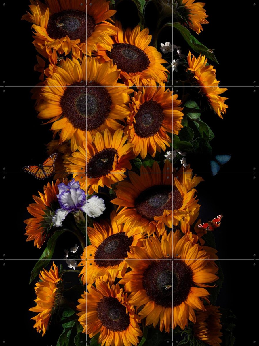 IXXI Sunflowers Van Gogh, Sander van Laar & Van Gogh 21st Century - 60 x 80 cm - Gratis ophangtool - Grote wanddecoratie en posters - Fotografie