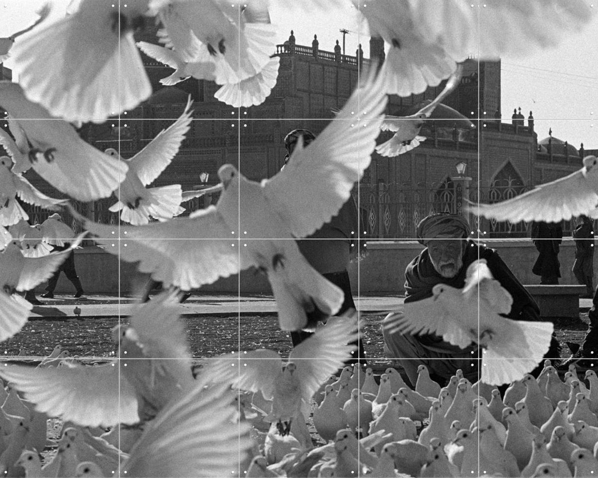 IXXI Doves Mazar, Teun Voeten - 100 x 80 cm - Gratis ophangtool - Grote wanddecoratie en posters - Vintage, Fotografie, Woonkamer, Vogels, Stad