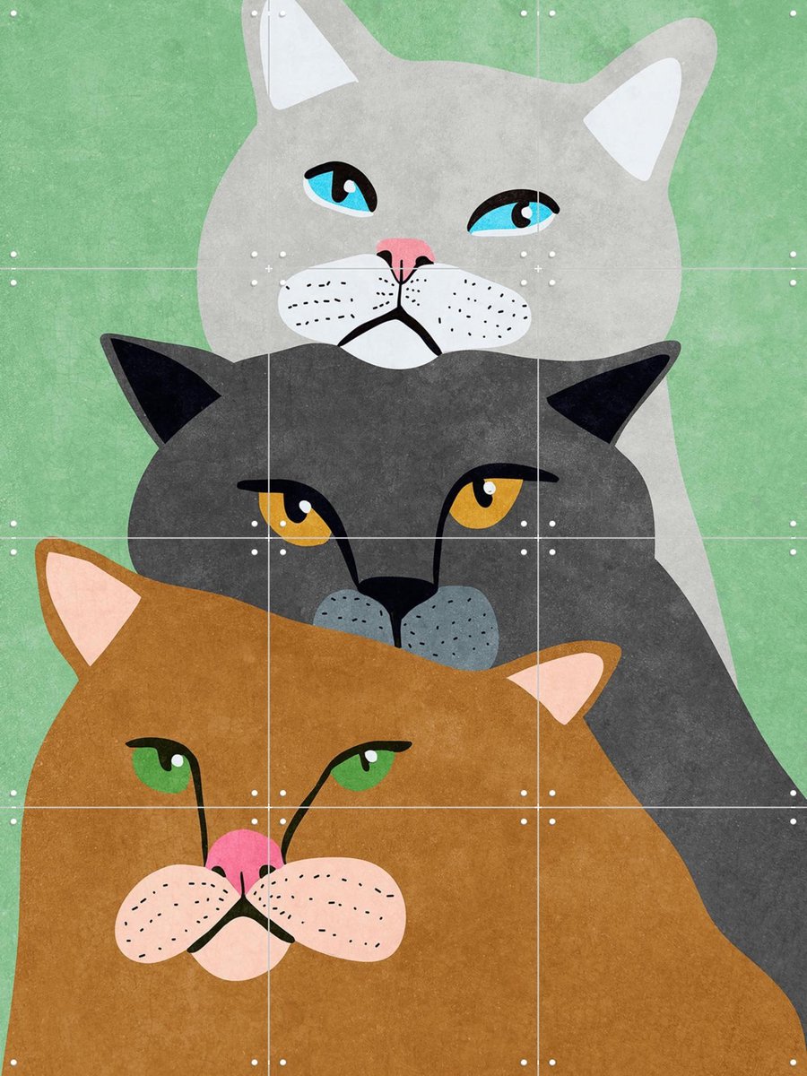 IXXI Cats Trio, Raissa Oltmanns - 60 x 80 cm - Gratis ophangtool - Grote wanddecoratie en posters Kinderkamer, Kinderen, Kat