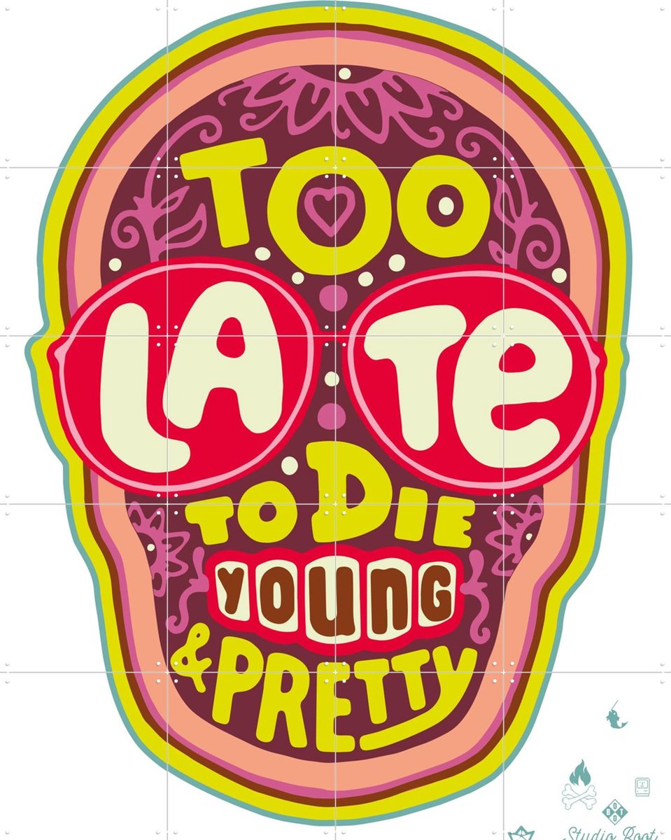 IXXI Too late to die young & pretty pink, Studio Boot - 80 x 100 cm - Gratis ophangtool - Grote wanddecoratie en posters - Grafisch Ontwerp