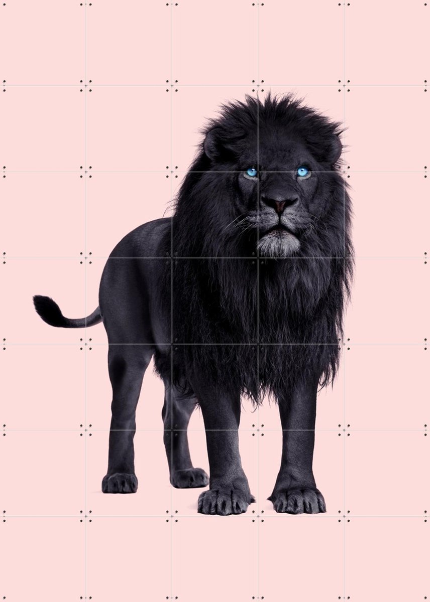 IXXI Black Lion, Paul Fuentes - 100 x 140 cm - Gratis ophangtool - Grote wanddecoratie en posters - Fotografie, Wilde dieren
