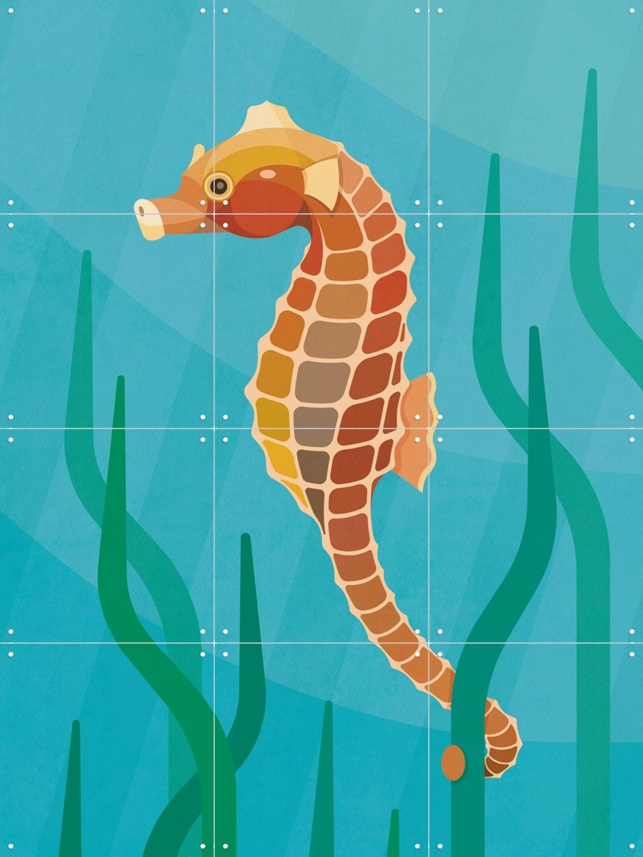 IXXI Zeepaardje, Elke Uijtewaal - 60 x 80 cm - Gratis ophangtool - Grote wanddecoratie en posters - Grafisch Ontwerp, Kinderkamer, Kinderen