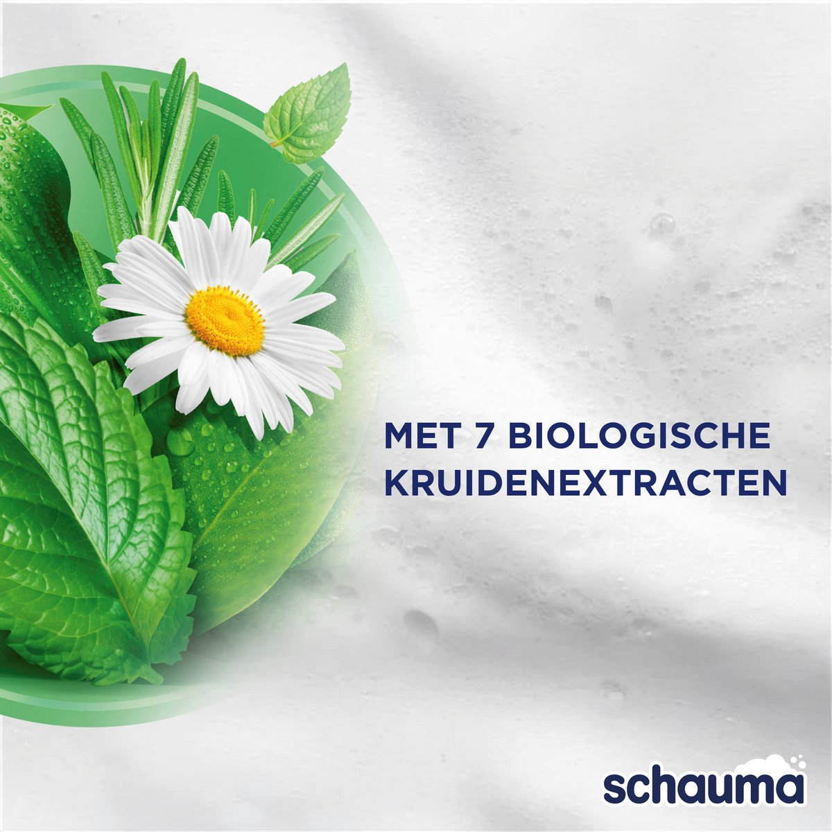 Schauma 7 Kruiden Shampoo thumbnail 2