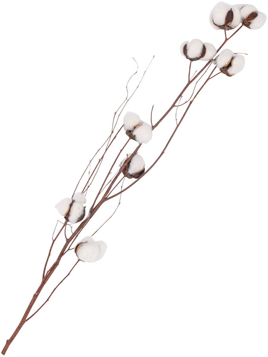ARTYFETES - Decoratieve Tak met Witte Katoenbloemen 80 cm