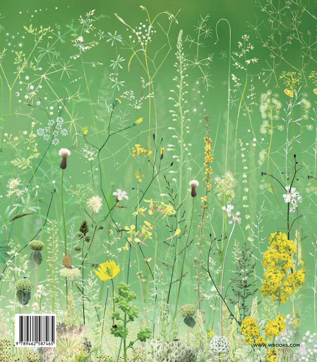 Een weelderige, groene achtergrond met talloze wilde bloemen en grassen in diverse tinten groen, geel en wit. Het boeknummer 9 789462 587465 is zichtbaar.