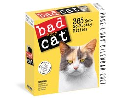 Bad Cat Page-A-Day® Calendar 2027