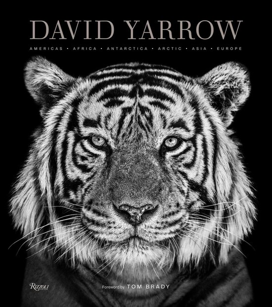 ISBN David Yarrow Photography, Photographie, Anglais, Couverture rigide, 312 pages