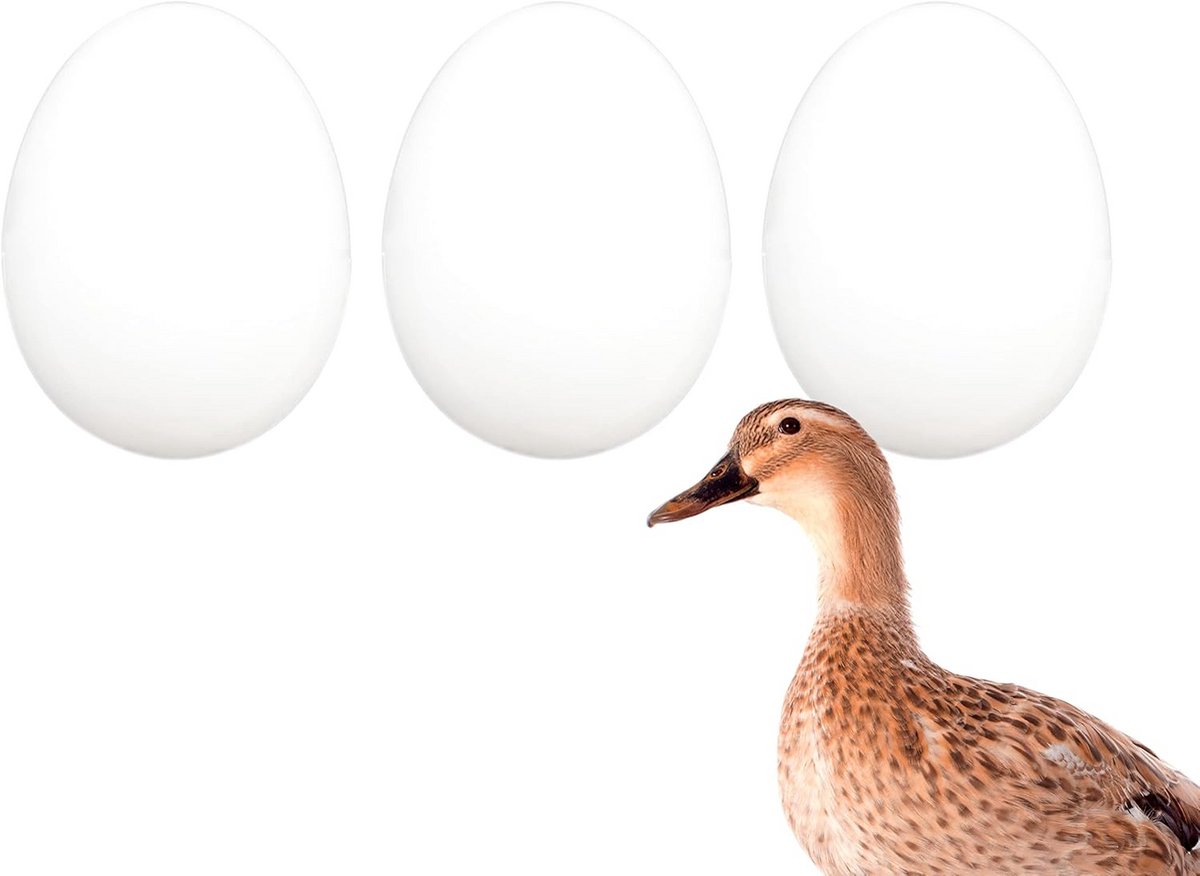 Massieve Valse Eendeneieren voor Neststimulatie en Decoratie