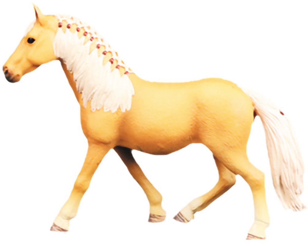 WILD ANIMALS HORSES DISPLAY