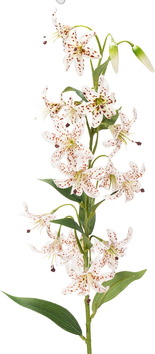 Viana Kunstmatige lelie als bloemstengel voor een elegante en onderhoudsvrie wit