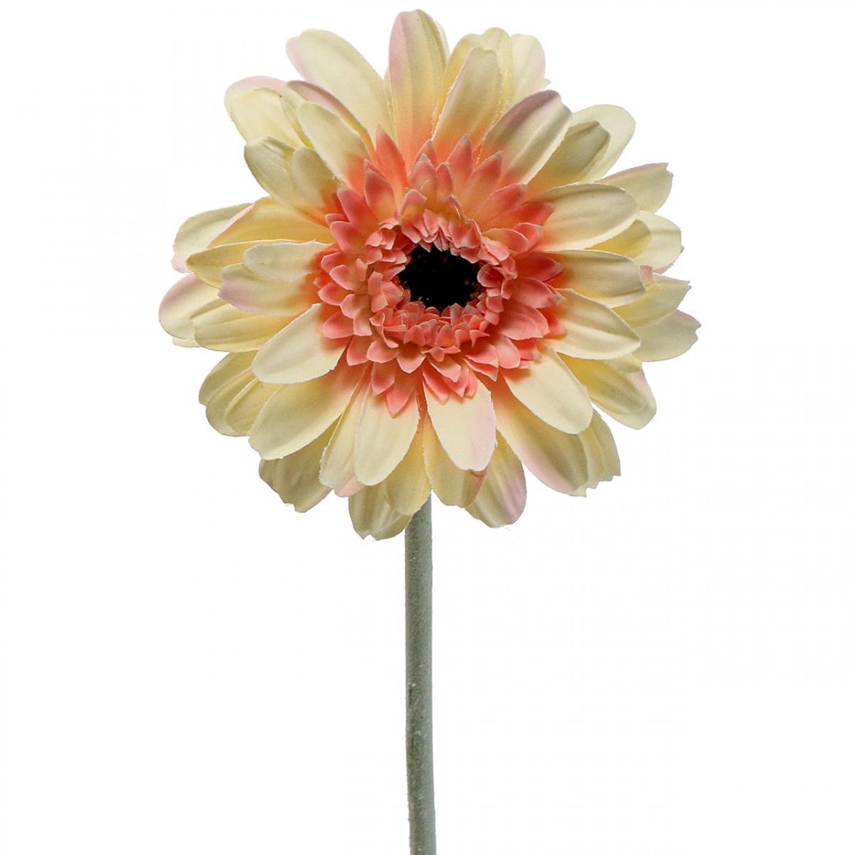 Kunstbloem gerbera kunstbloem abrikoos Ø11cm L50cm