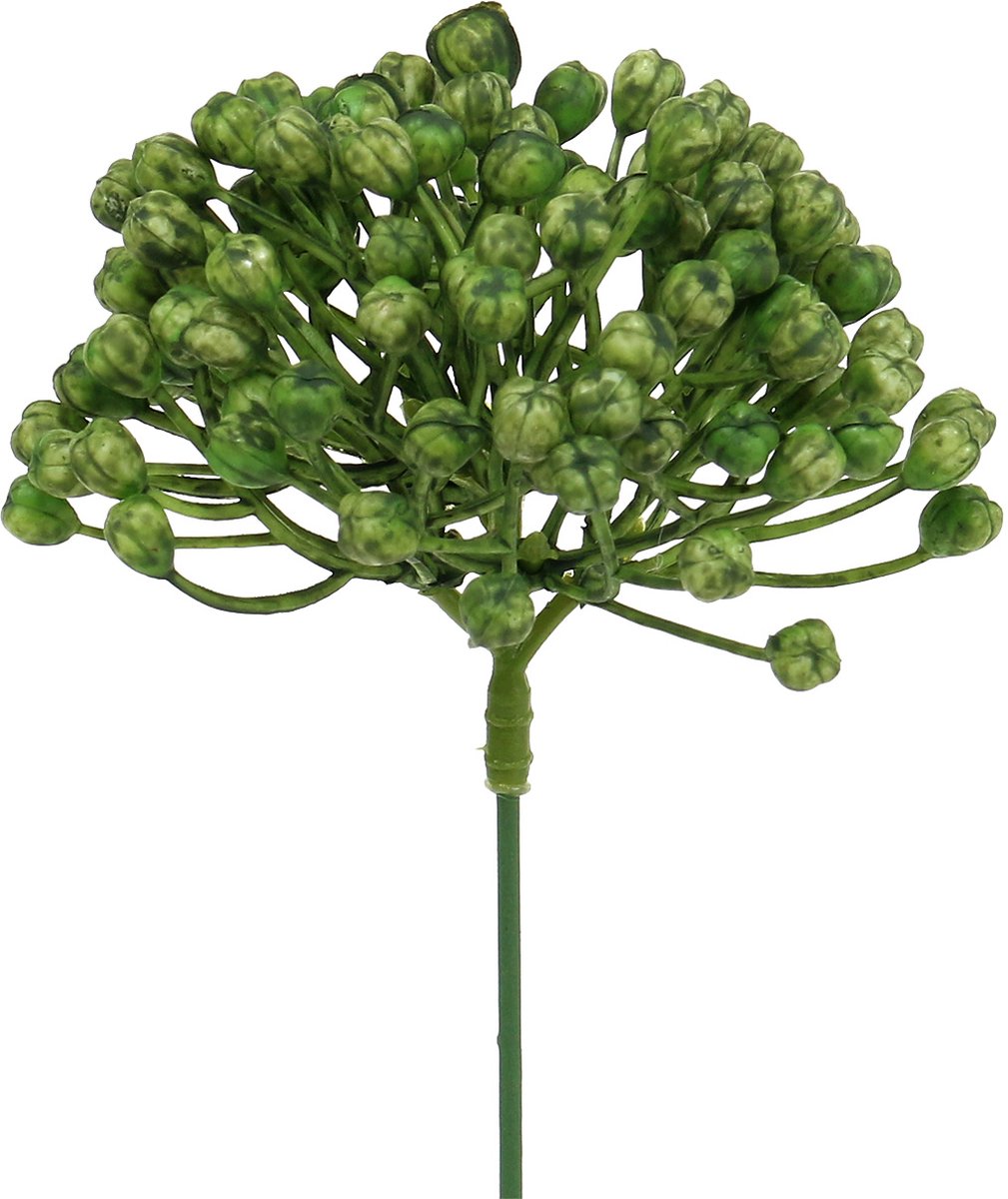 Viana Hortensia knopsteker 22cm groen 12 st groente