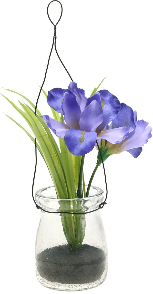 Viana Iris sering in een glas om op te hangen H21.5cm paars
