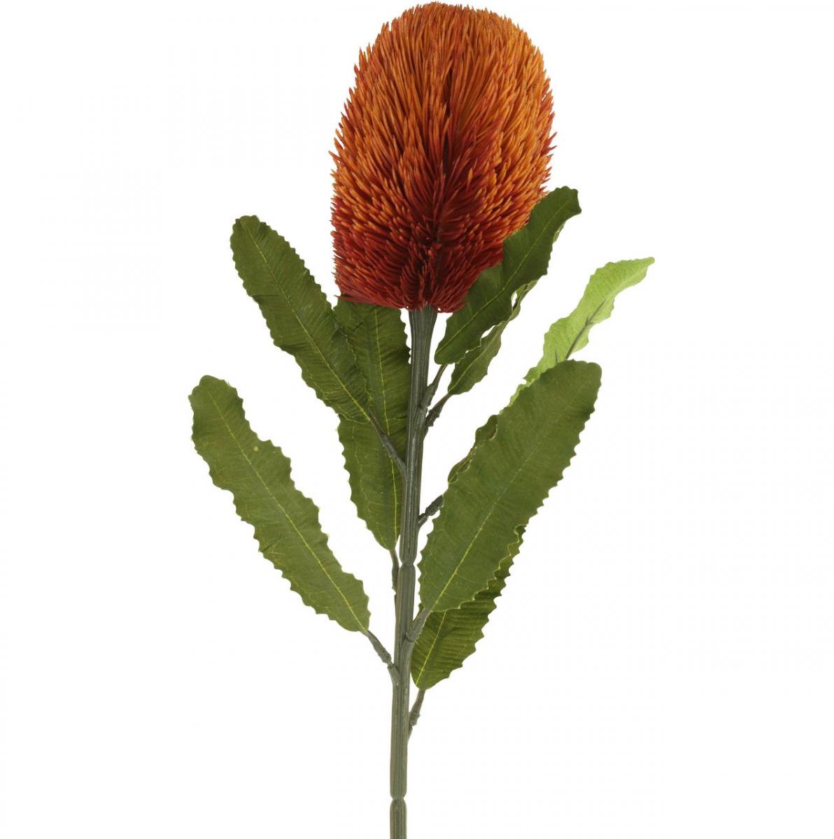 Viana Kunstbloem Banksia Oranje Herfstdecoratie Begrafenisbloemen 64cm