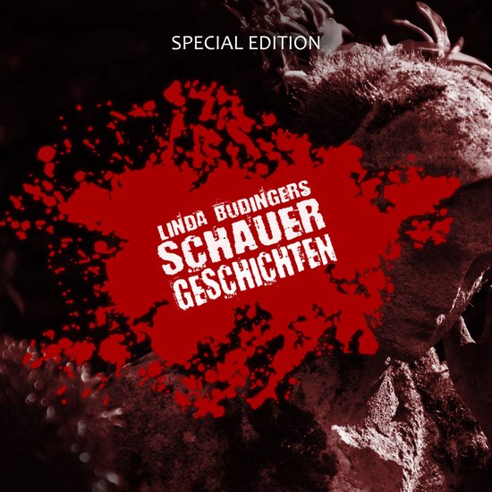 Linda Budingers SCHAUERGESCHICHTEN - cover
