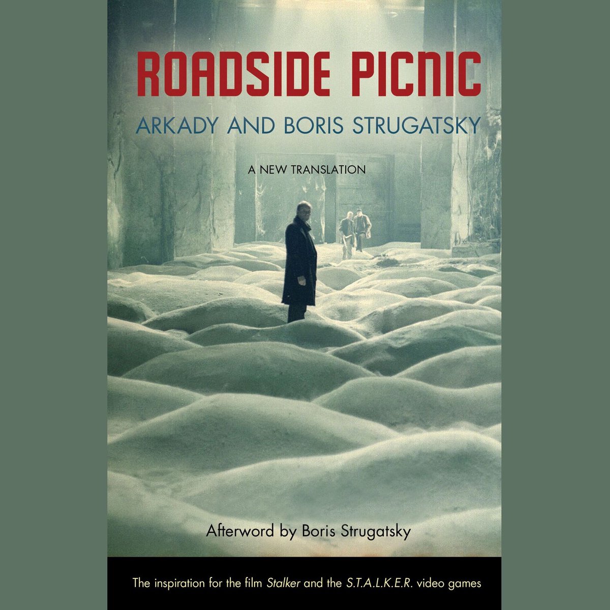 Omslag van Roadside Picnic
