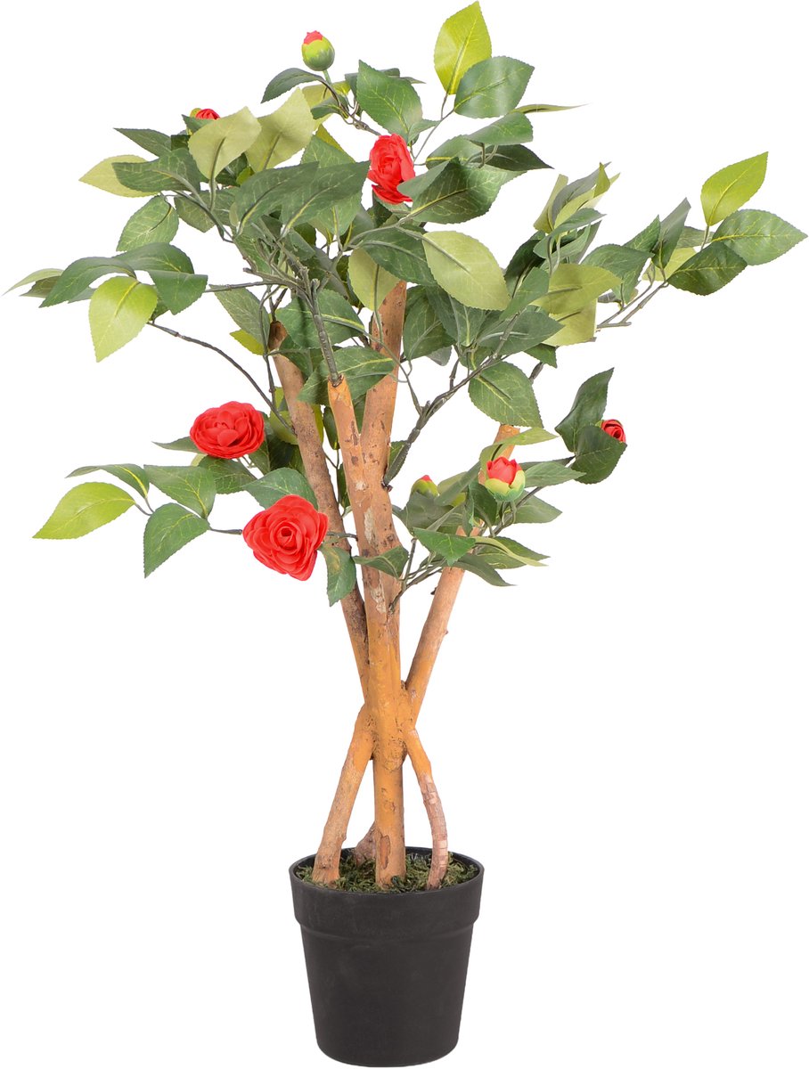 UNUS Kunstplant Camellia met echte houten stam 80 cm rode bloemen, kamerplant met natuurlijke houten stam Groen
