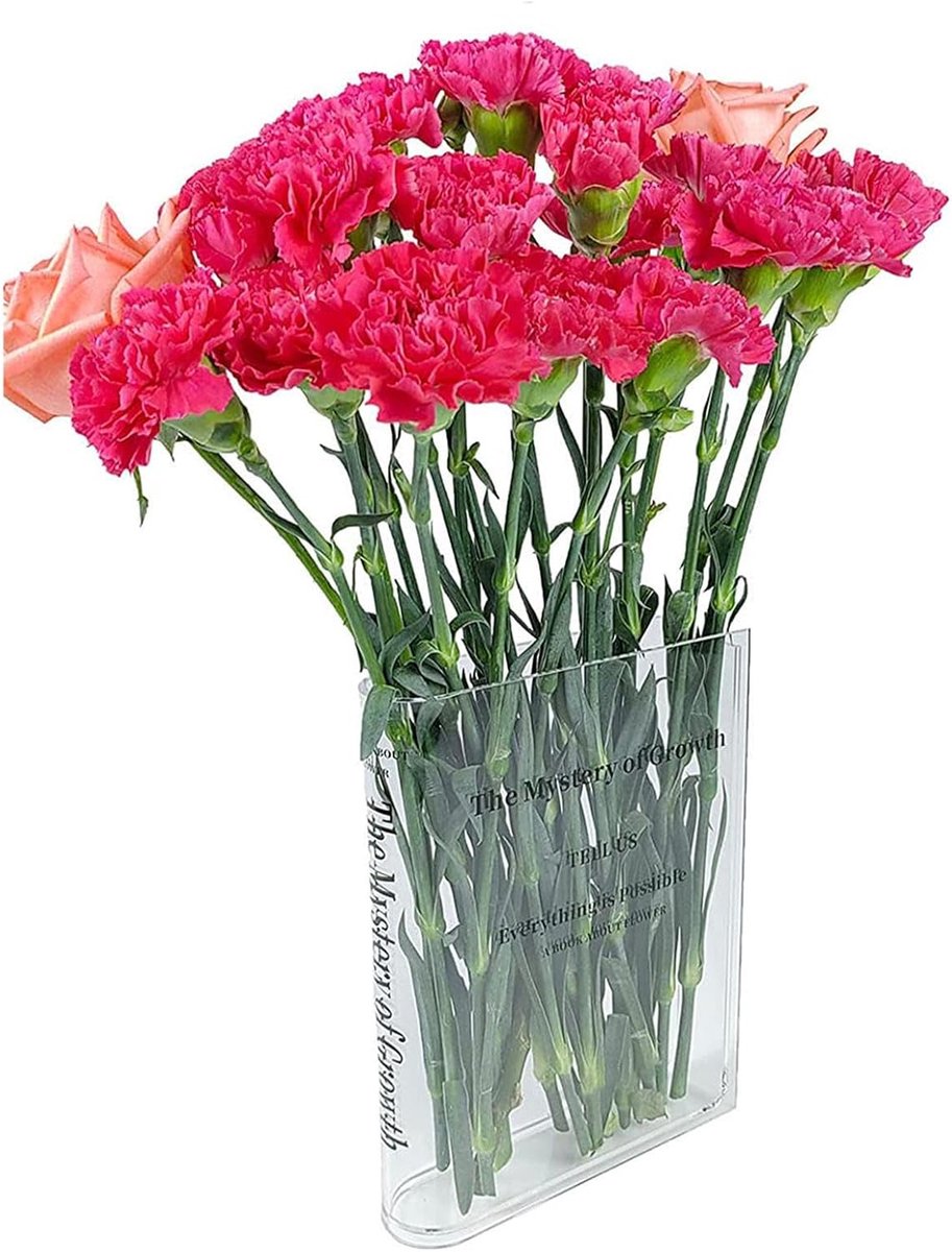Boekenvaas Acryl - Decoratieve Vaas - Bloemen Presenteren - Uniek Boek Design - 26 x 18 x 5 cm - Transparant
