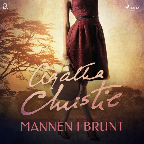 Mannen i brunt - cover
