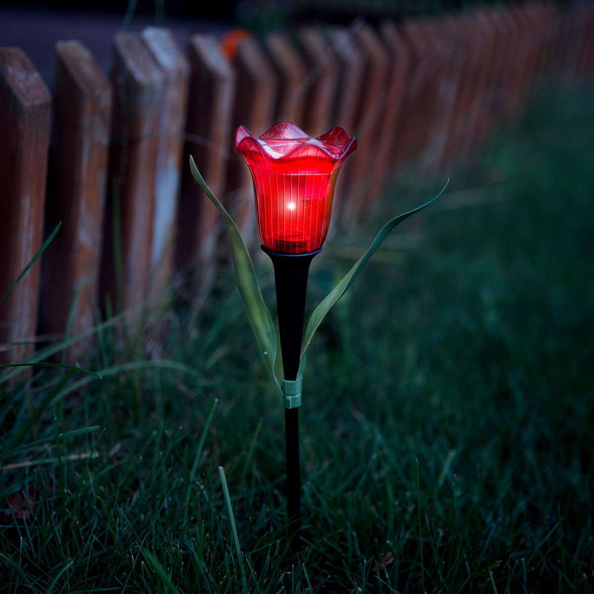 Solar Tulpen Tuinlamp Met Grondpin – LED Tuinverlichting Op Zonne-Energie – Tulip Vorm – Geel, Rood Of Roze – Automatisch Aan Bij Schemer – Decoratieve Buitenlamp Voor Tuin, Border Of Pad – 31 Cm [11750]