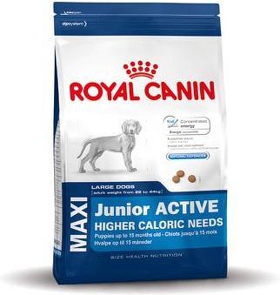 envelop kan zijn Bedrijfsomschrijving ROYAL CANIN® Maxi Junior Active - hondenvoer - 1,5 kg | bol.com