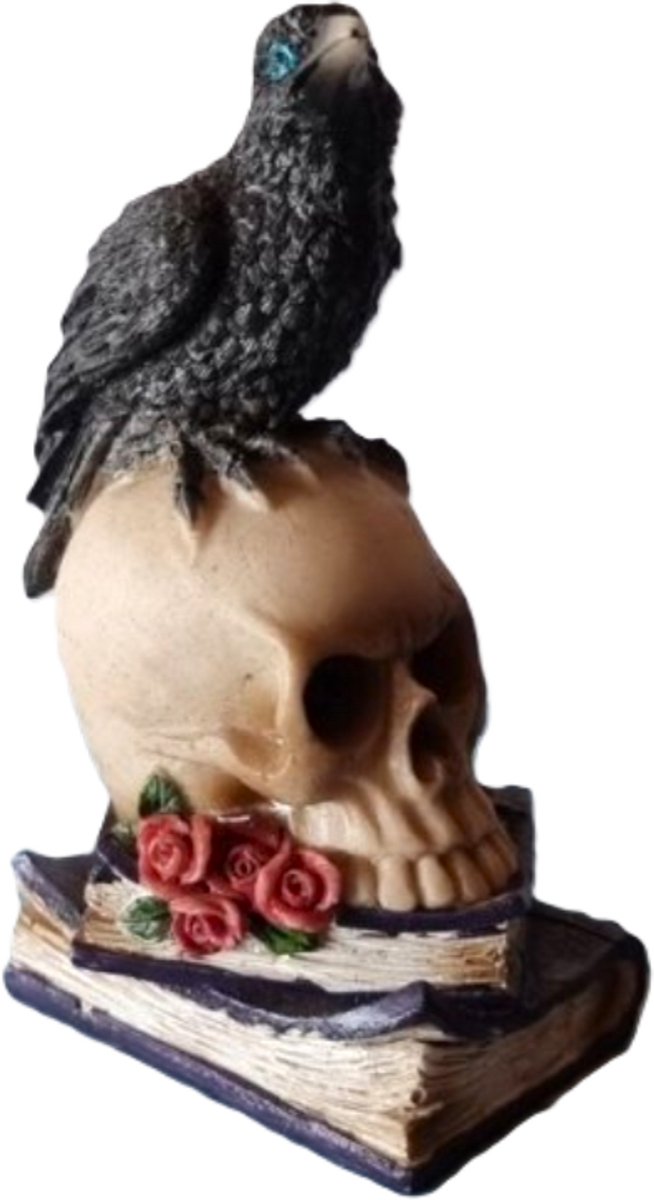 Schedel met Raaf beeld - Hekserij - Wicca Decoratie - Esoterie