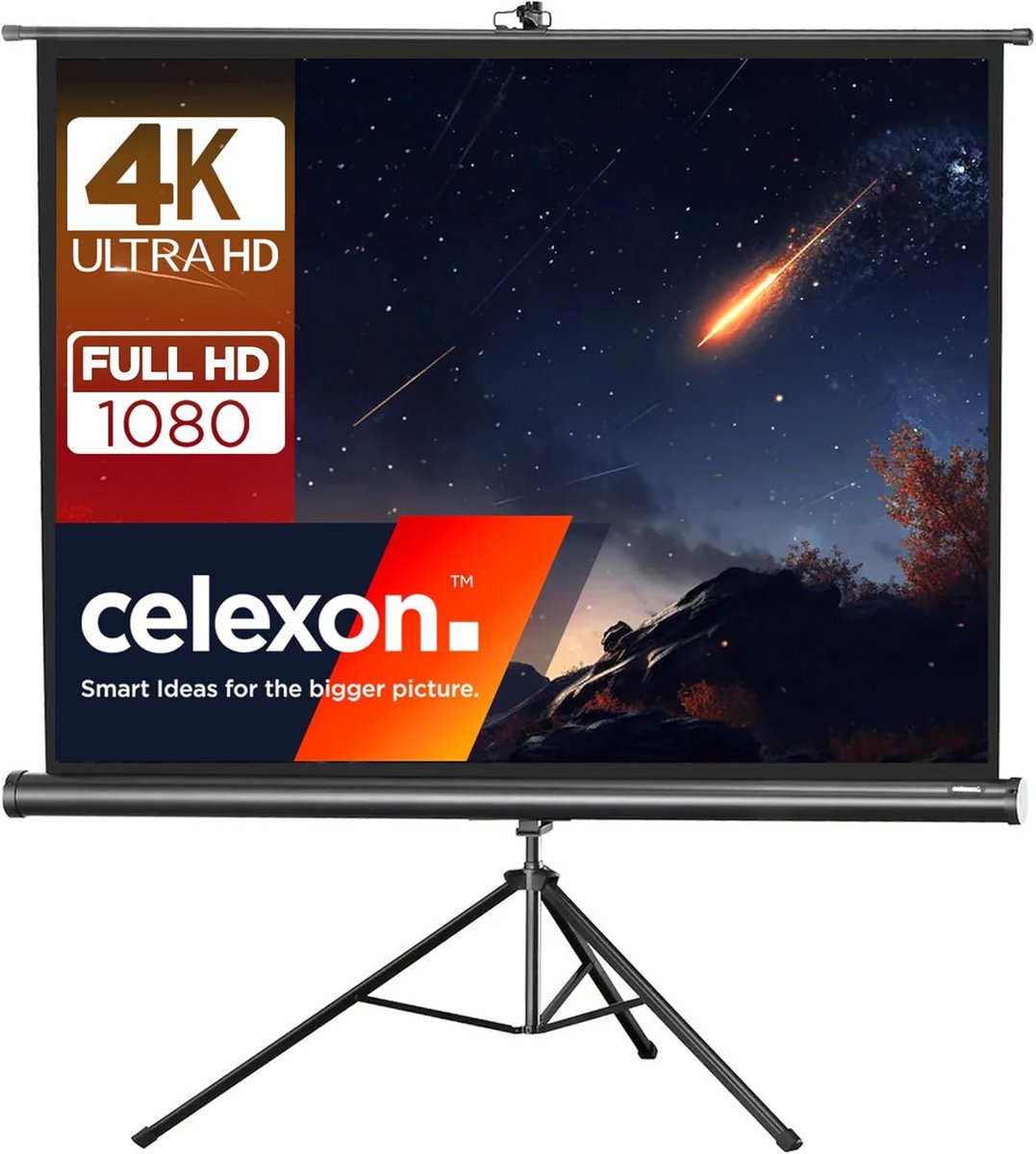 Stativleinwand Economy 244 x 183 cm - Mobiele Projectiescherm