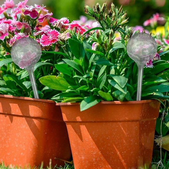 Zelfwatergevende Bollen voor Kamerplanten en Tuin - Langzame Waterafgifte Irrigatie — afbeelding 2