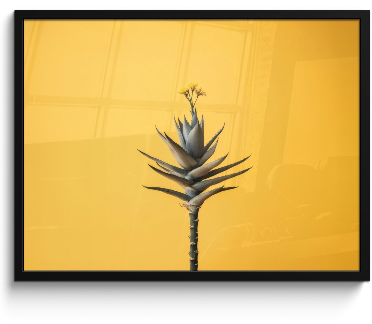FrameYourWall Poster in lijst - Fotolijst 70x50 cm - Posters - Plant - Minimalistisch - Bloem - Geel - Posterlijst zwart - Decoratie - Wanddecoratie woonkamer - Muurdecoratie slaapkamer Plant - Bloem