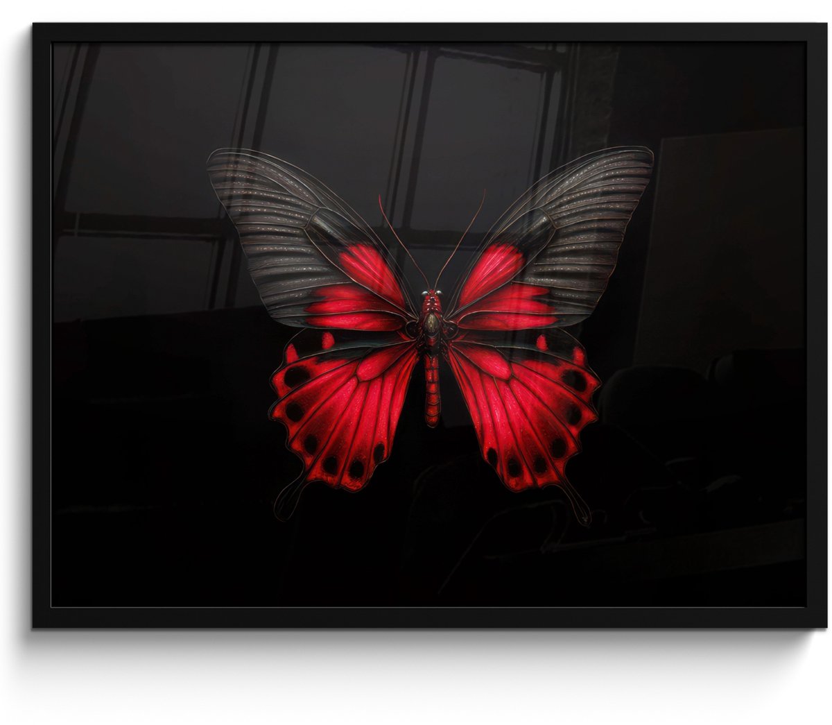 FrameYourWall Poster in lijst - Fotolijst 70x50 cm - Posters - Vlinder - Rood - Contrast - Posterlijst zwart - Decoratie - Wanddecoratie woonkamer - Muurdecoratie slaapkamer