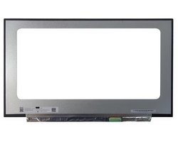 LCD Scherm geschikt voor Asus ROG Strix Scar 17 G733QS-K4281T (240Hz)