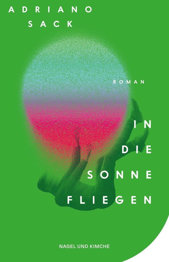 In die Sonne fliegen - cover