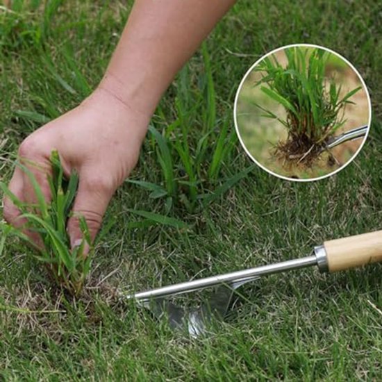 Plukken Grashark Schop - Tuin Gereedschap - Effectief Tuinonderhoud - Slijtvast Roestvrij Staal - 33x3x2 cm - Zoals Afgebeeld — afbeelding 3