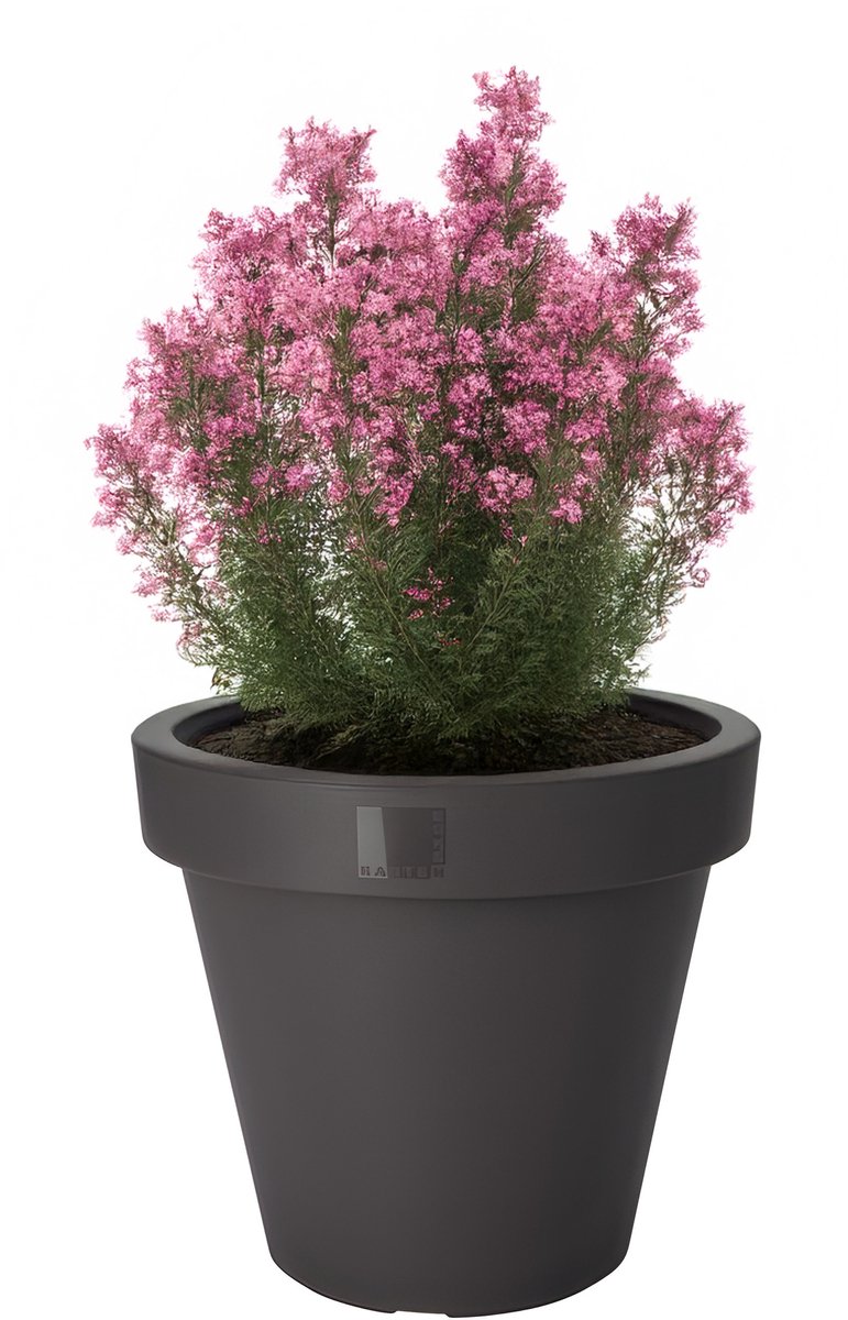 Pro Garden Bloempot - antraciet - rond - D25 cm - kunststof 