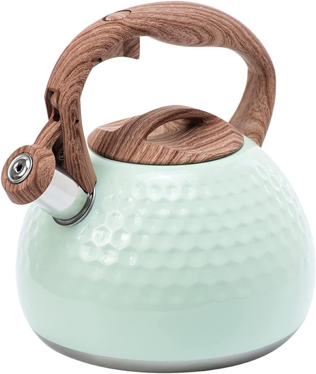 Fluitketel RVS - Waterkoker Theepot - Koken op Fornuis - Luid Fluitend Geluid - 2.8 Liter Inhoud - Blauw Groen