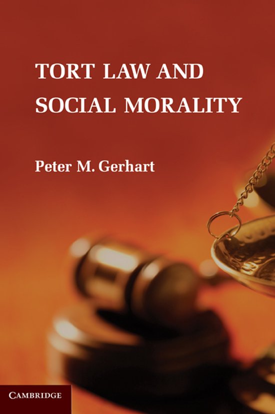 Tort Law and Social Morality - cover