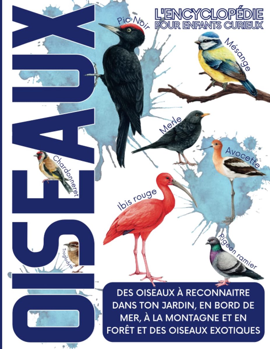 Vogel Encyclopedie - Kinderboek Vogels - Natuur Ontdekken - 62 Soorten Geïllustreerd - Groot Formaat - Full Color