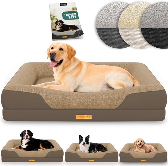 Een grote Labrador op een bruin ELONEO hondenbed. Kleinere honden van verschillende rassen op kleinere bedden.