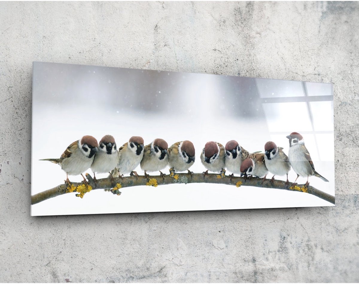 Insigne Art Panorama Glasschilderij - Vogels - Foto Print Op Glas - 92 x 36 cm Kleurrijk