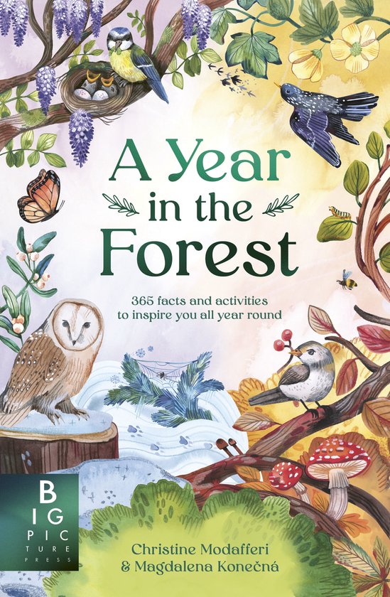 A Year in the Forest - cover