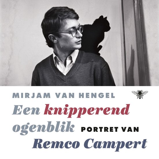 Een knipperend ogenblik - cover