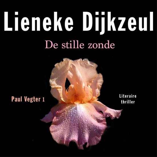 De stille zonde - cover